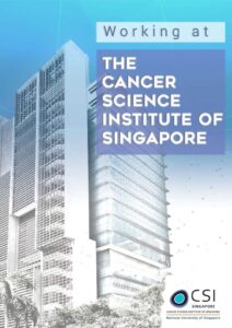 Faculty - NUS CSI