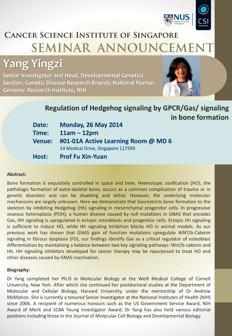 CSI-Seminar-Yang-Yingzi
