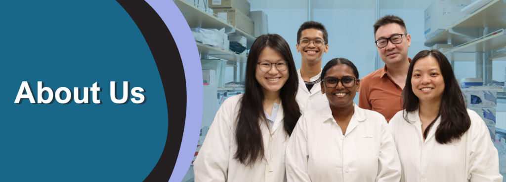 About Us - NUS CSI