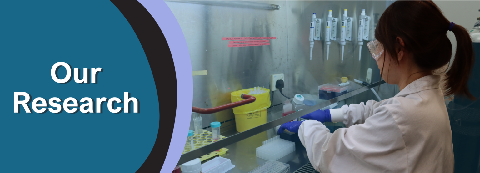 Research Teams - NUS CSI