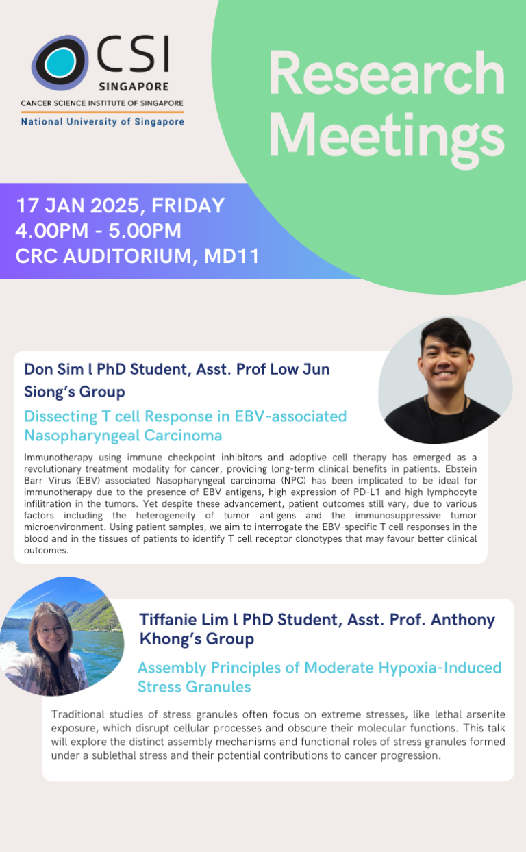 CSI Research Meeting - 17 Jan 2025 - NUS CSI