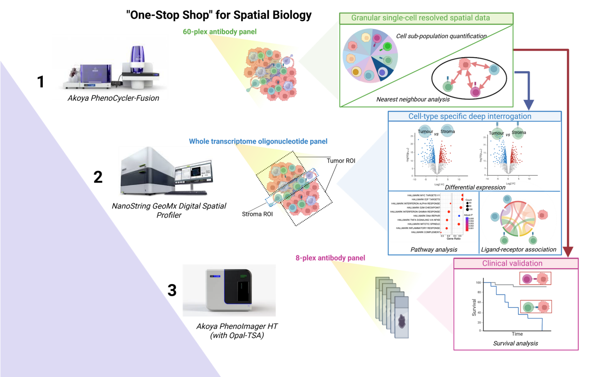Spatial Core Spatial Biology Core (SBC) - NUS CSI