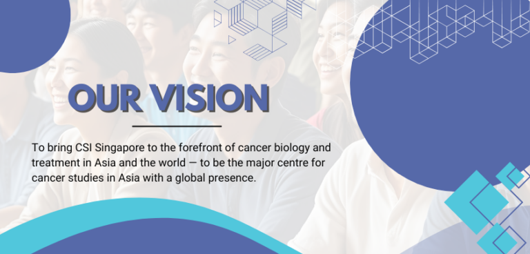 About Us - NUS CSI