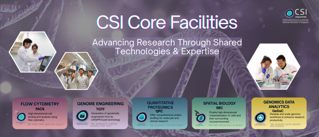 Home - NUS CSI